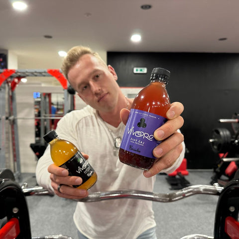Box pro profesionály: 32x Vivoro Kombucha 330ml