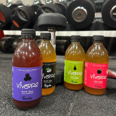 Zkušební box pro nováčky: 8x Vivoro Kombucha 330ml