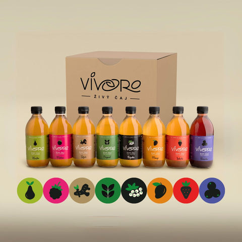 Box pro pokročilé: 16x Vivoro Kombucha 330ml