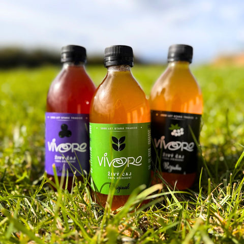 Box pro pokročilé: 16x Vivoro Kombucha 330ml