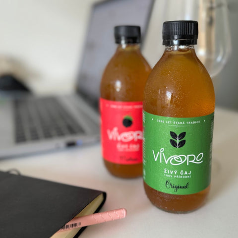 Box pro pokročilé: 16x Vivoro Kombucha 330ml