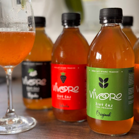 Box pro pokročilé: 16x Vivoro Kombucha 330ml