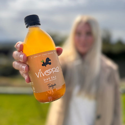Kombucha - Zázvor