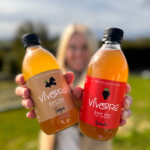 Box pro pokročilé: 16x Vivoro Kombucha 330ml
