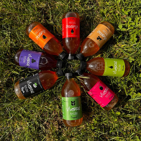 Box pro pokročilé: 16x Vivoro Kombucha 330ml