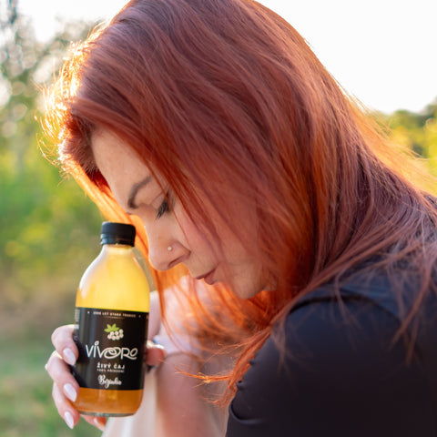 Kombucha - Bezinka