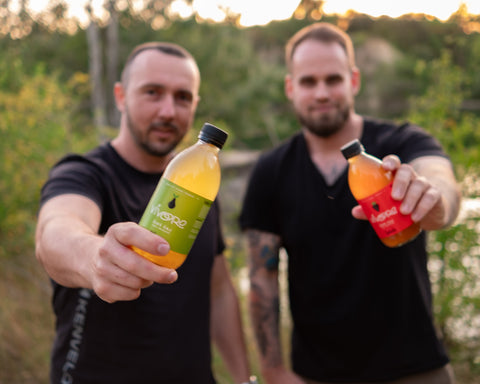 Box pro pokročilé: 16x Vivoro Kombucha 330ml