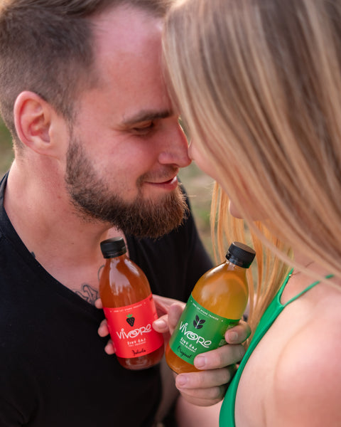 Box pro pokročilé: 16x Vivoro Kombucha 330ml
