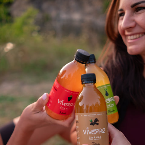 Box pro pokročilé: 16x Vivoro Kombucha 330ml