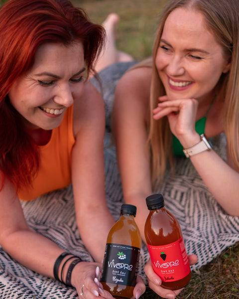 Box pro pokročilé: 16x Vivoro Kombucha 330ml