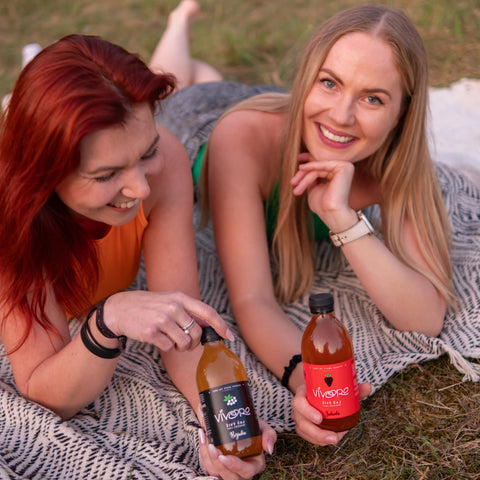 Box pro pokročilé: 16x Vivoro Kombucha 330ml