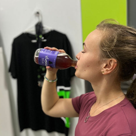 Kombucha - Borůvka
