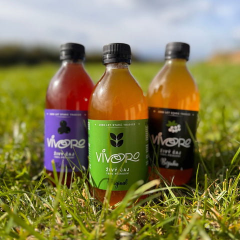Box pro pokročilé: 16x Vivoro Kombucha 330ml