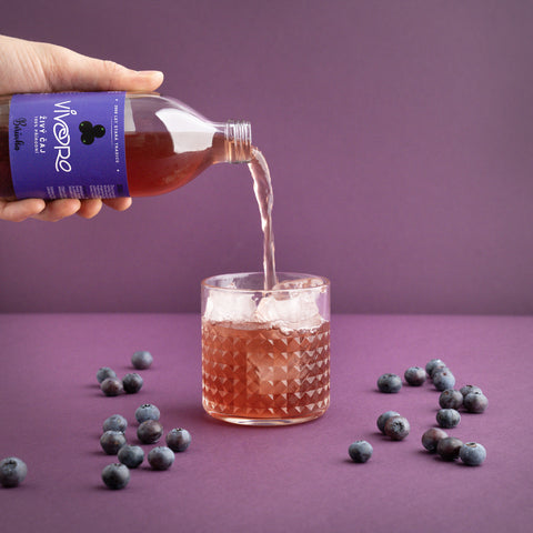 Box pro pokročilé: 16x Vivoro Kombucha 330ml
