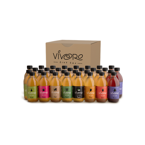 Box pro profesionály: 32x Vivoro Kombucha 330ml