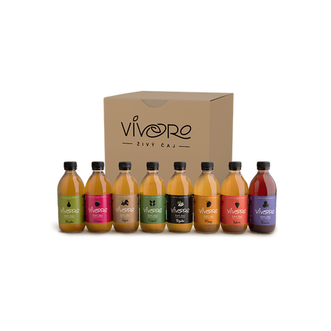 Zkušební box pro nováčky: 8x Vivoro Kombucha 330ml