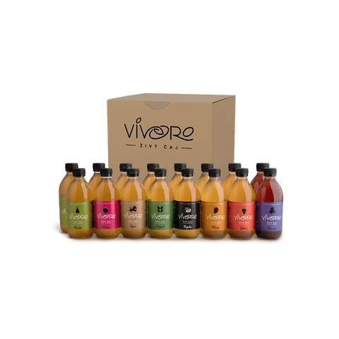Box pro pokročilé: 16x Vivoro Kombucha 330ml