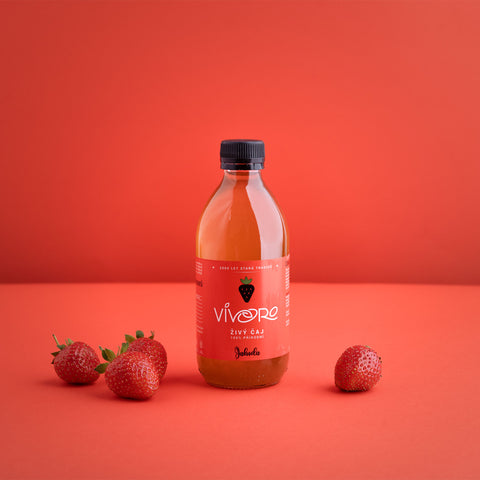 Box pro profesionály: 32x Vivoro Kombucha 330ml