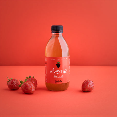 Box pro pokročilé: 16x Vivoro Kombucha 330ml