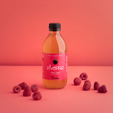 Box pro pokročilé: 16x Vivoro Kombucha 330ml
