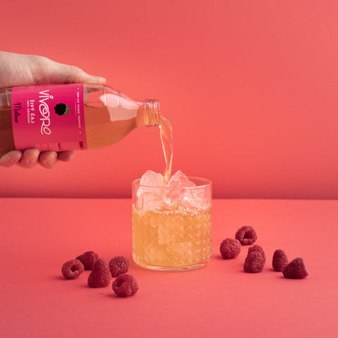 Box pro profesionály: 32x Vivoro Kombucha 330ml