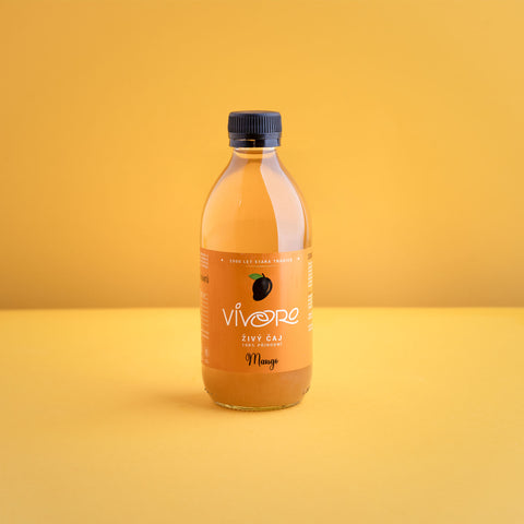 Box pro profesionály: 32x Vivoro Kombucha 330ml