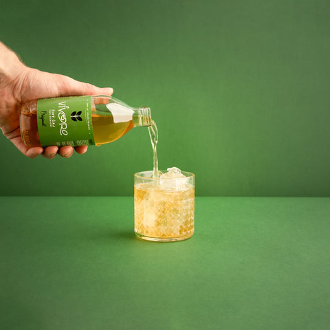 Box pro profesionály: 32x Vivoro Kombucha 330ml
