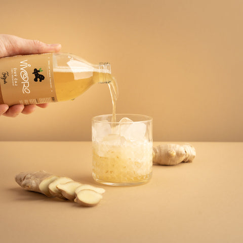 Box pro profesionály: 32x Vivoro Kombucha 330ml