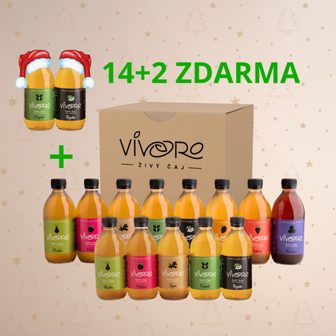 Kombucha starter box: 14+2 ZDARMA
