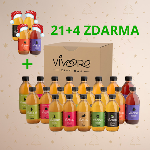 Box pro profesionály: 21+4 ZDARMA